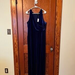 Express Deep Blue Velvet Jumpsuit